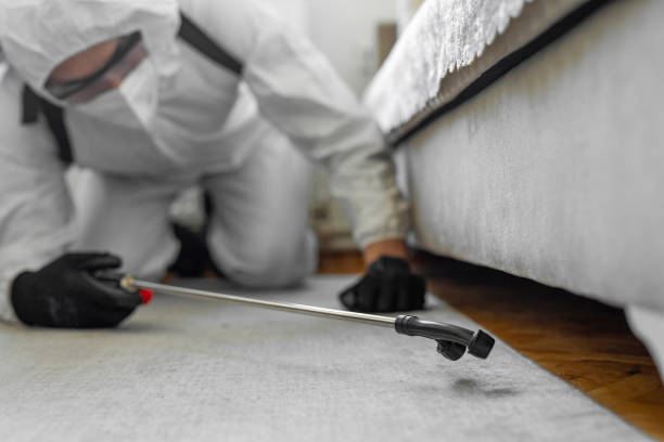 Professional Bed Bug Control technician working in Temelec, CA